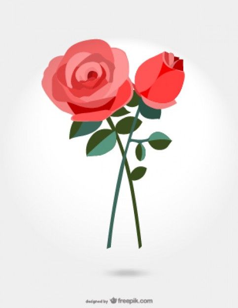 483x626 Roses Vector Illustration Art Illustration Illustration