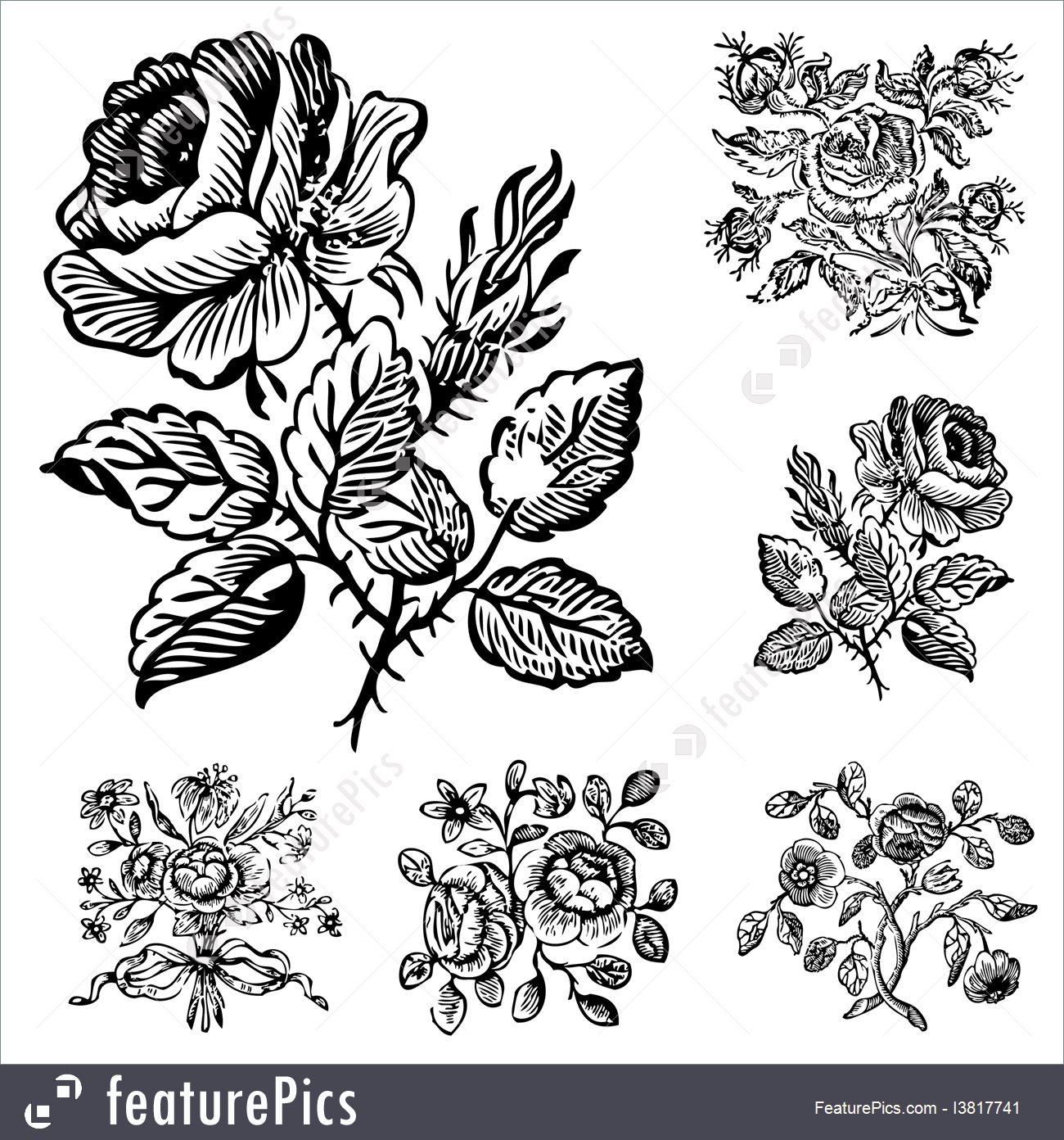 Rose Illustration Vector at Collection of Rose