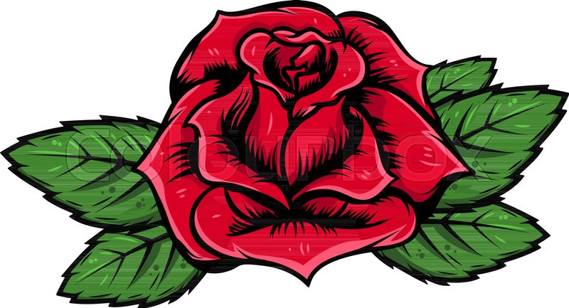 800x433 Cartoon Rose Illustration Isolated On Stock Vector Colourbox