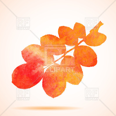 Orange Watercolor Dog Rose Leaf Vector Image Of Plants And Animals 400x400 Orange Watercolor Dog Rose Leaf Vector Image Of Plants And Animals