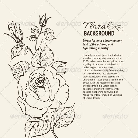 Silhouette Of Rose Vector Illustration Dollar Rose Clipart 590x590 Silhouette Of Rose Vector Illustration Dollar Rose Clipart