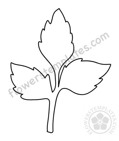 Vector Rose Leaves Printable Flowers Templates 380x450 Vector Rose Leaves Printable Flowers Templates