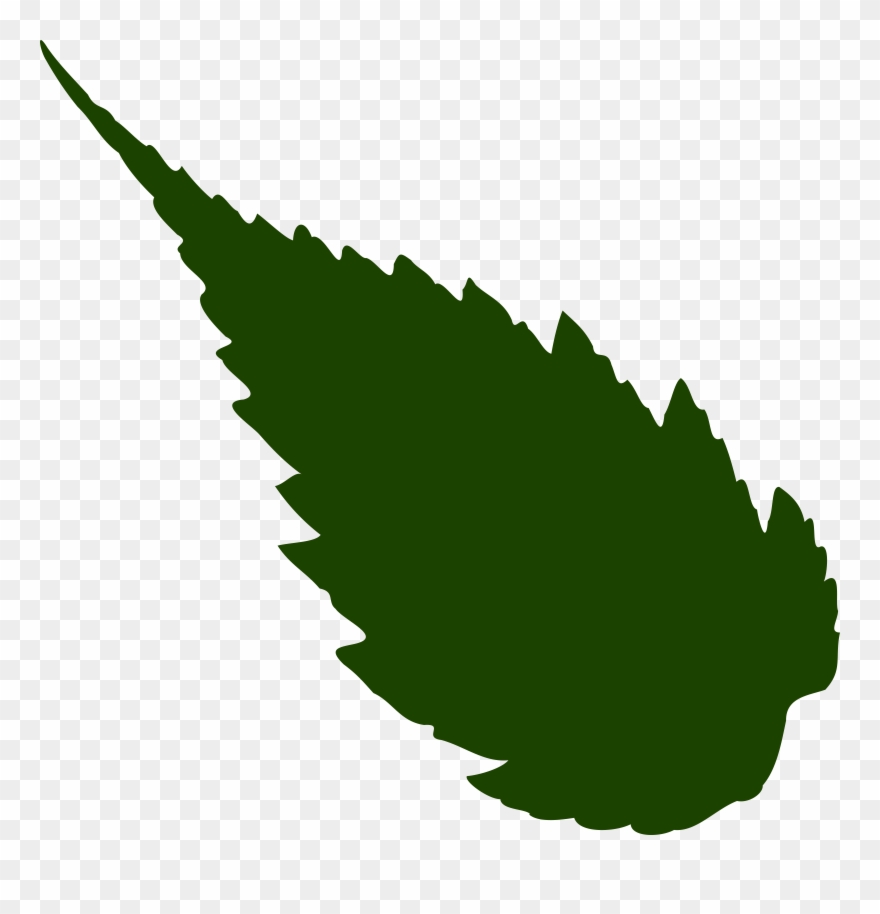 Clipart 880x914 Clipart