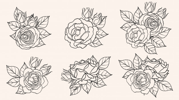 Rose Ornament Vector 626x351 Rose Ornament Vector