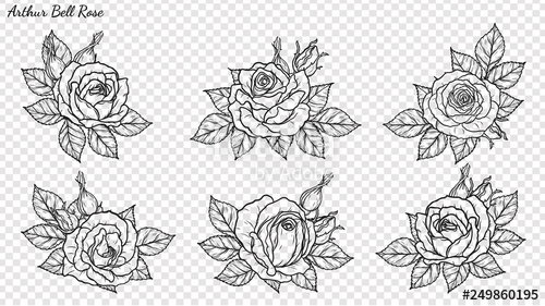 Rose Ornament Vector 500x281 Rose Ornament Vector