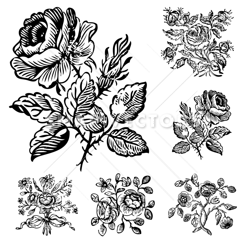 Vector Clipart Vintage Flower And Rose Ornaments 800x800 Vector Clipart Vintage Flower And Rose Ornaments