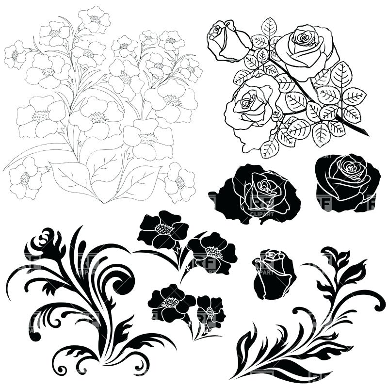 800x800 Rose Flower Outline Rose Flower Outline Vector Isolated On White