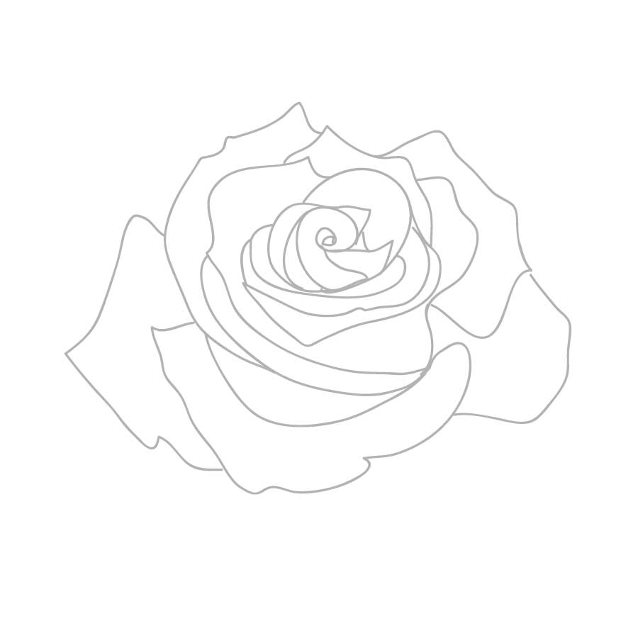 900x900 Rose Outline Free Vector Free Vectors Ui Download