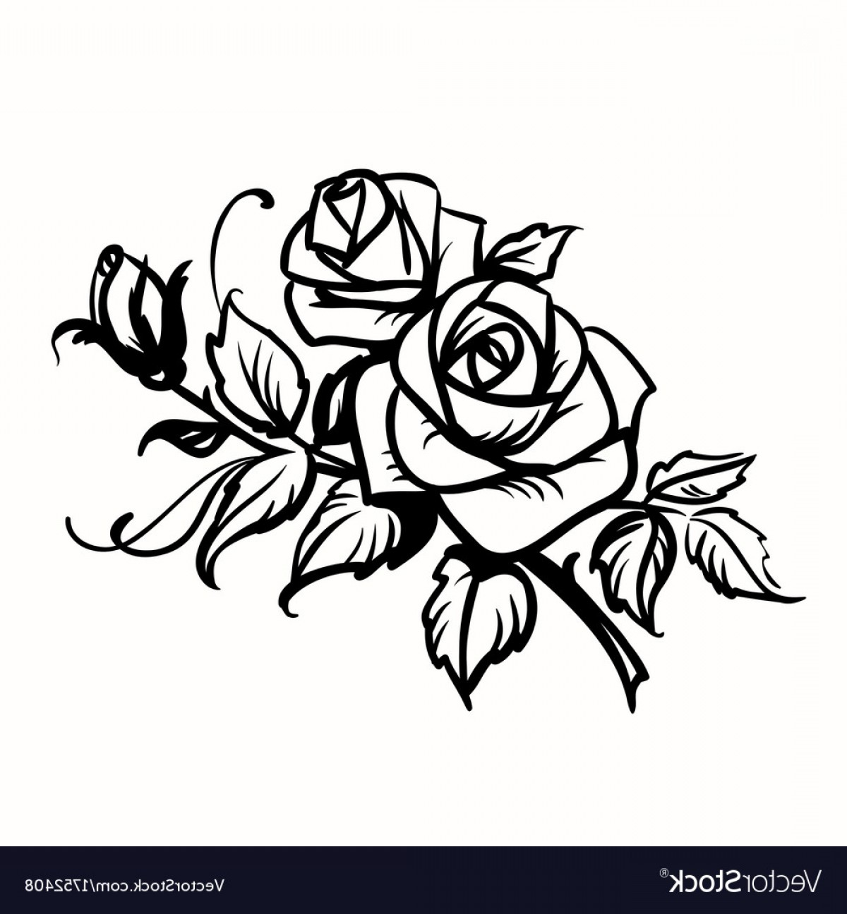 Rose Outline Vector At Vectorified.com 