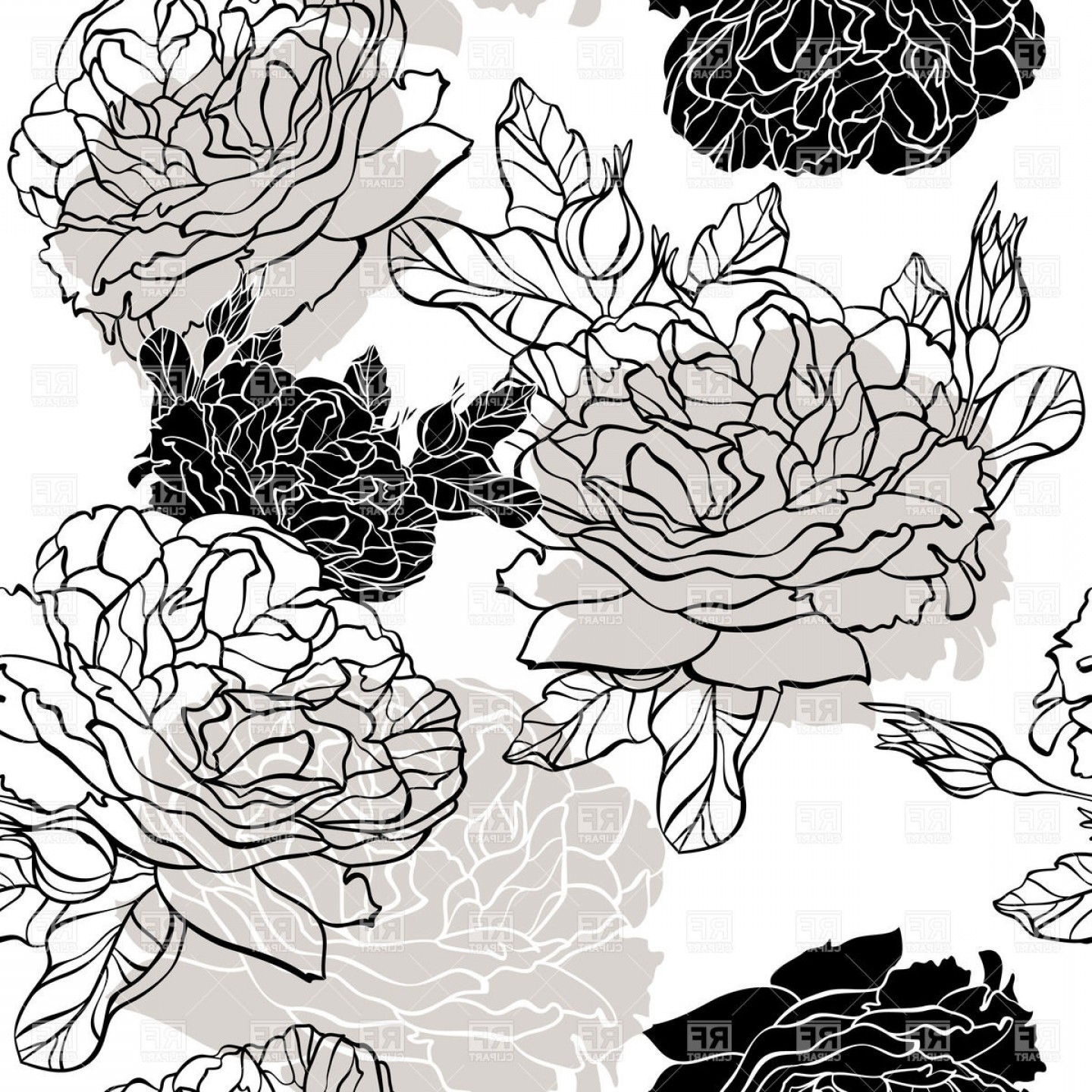 1440x1440 Seamless Floral Background With Roses Outlines Vector Clipart