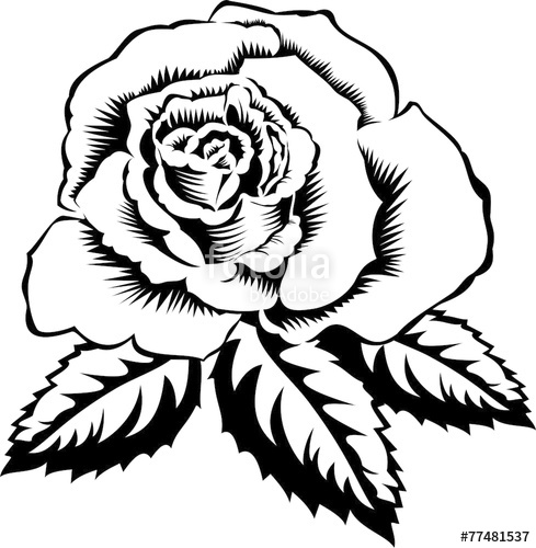 489x500 Silhouette Outline Rose With Leaves Vector Tattoo Illustration