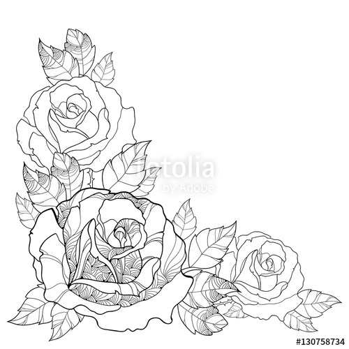 500x500 Vector Illustration With Outline Rose Flower And Foliage Isolated