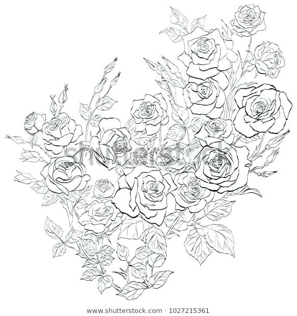 583x620 Outline Flowers Vector