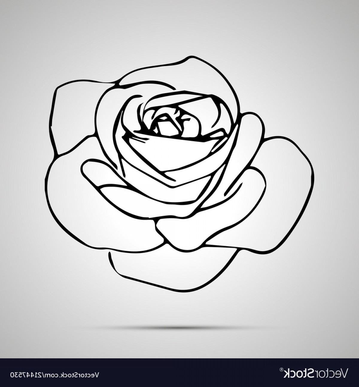 1200x1296 Cute Outline Rose Bud Simple Black Icon Vector Cqrecords