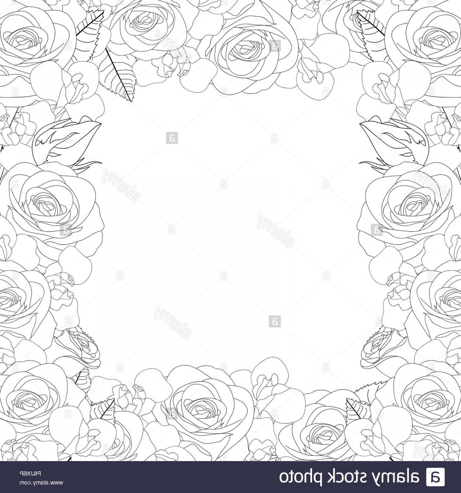 1560x1668 Floral Outline Vector Catchsplace