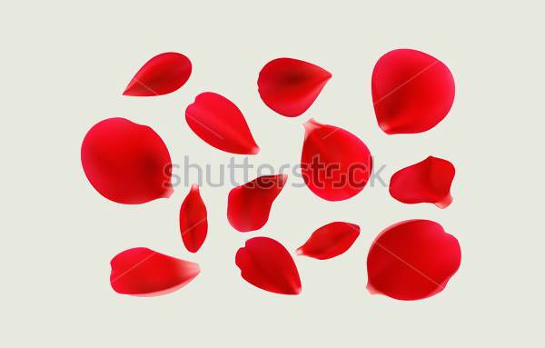 Rose Petals Vector