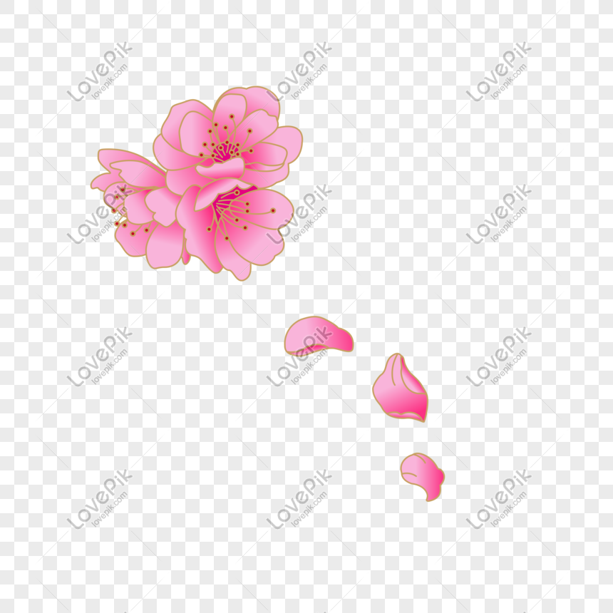 860x860 Flower Petals Vector Png Image Picture Free Download