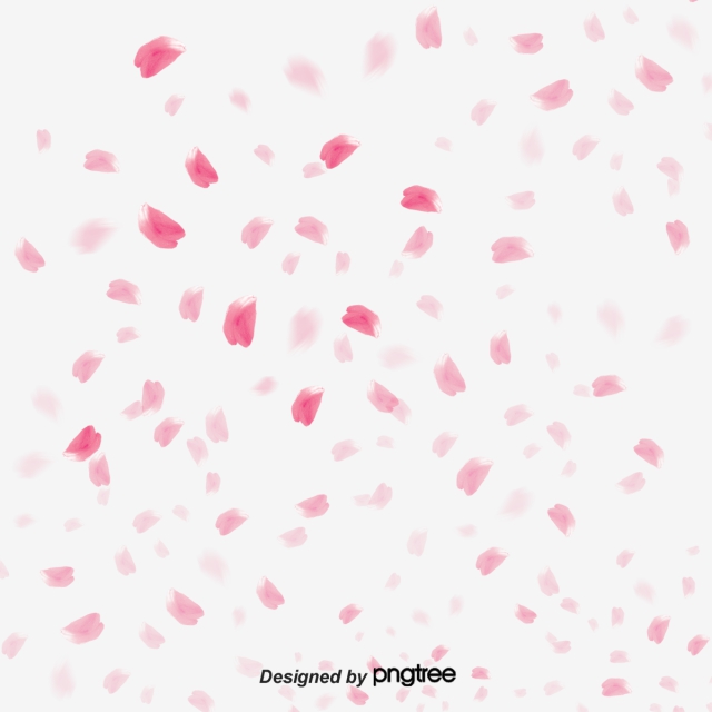 640x640 Petals Vector, Free Download Petal, Rose Petals, Flower Petals