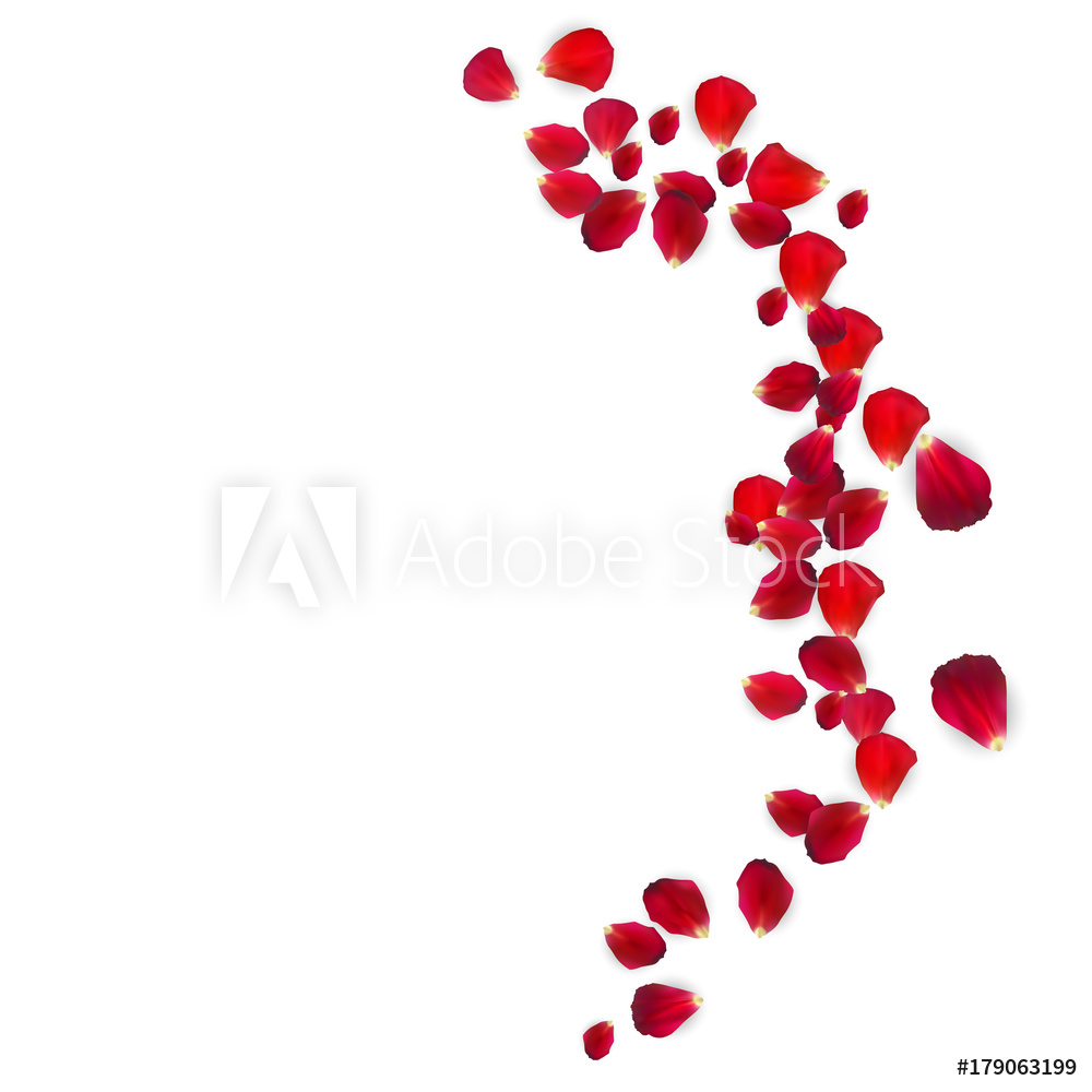 1000x1000 Photo Art Print Background Of Naturalistic Rose Petals Vector