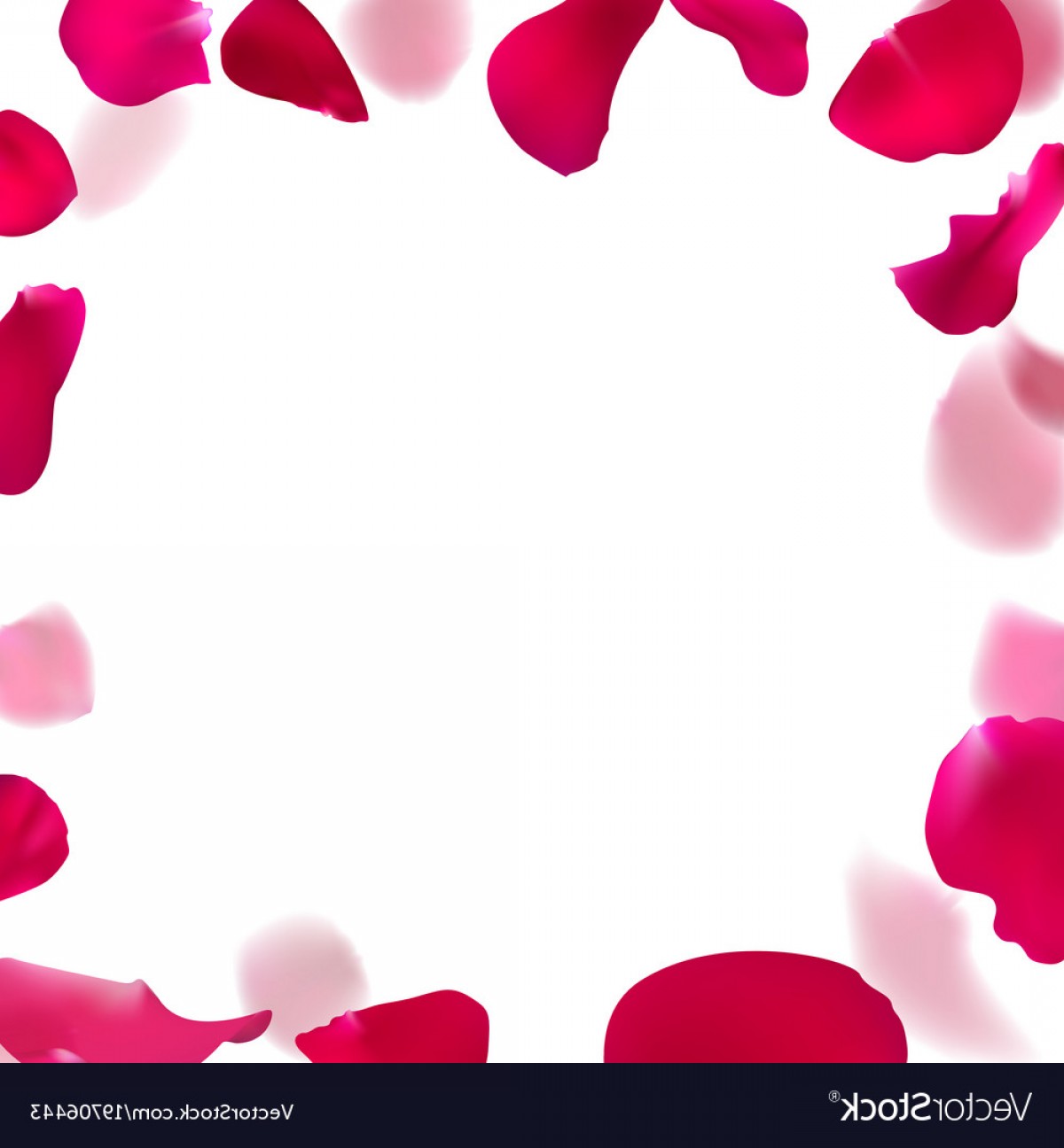 1200x1296 Rose Petal Vector Lamaison