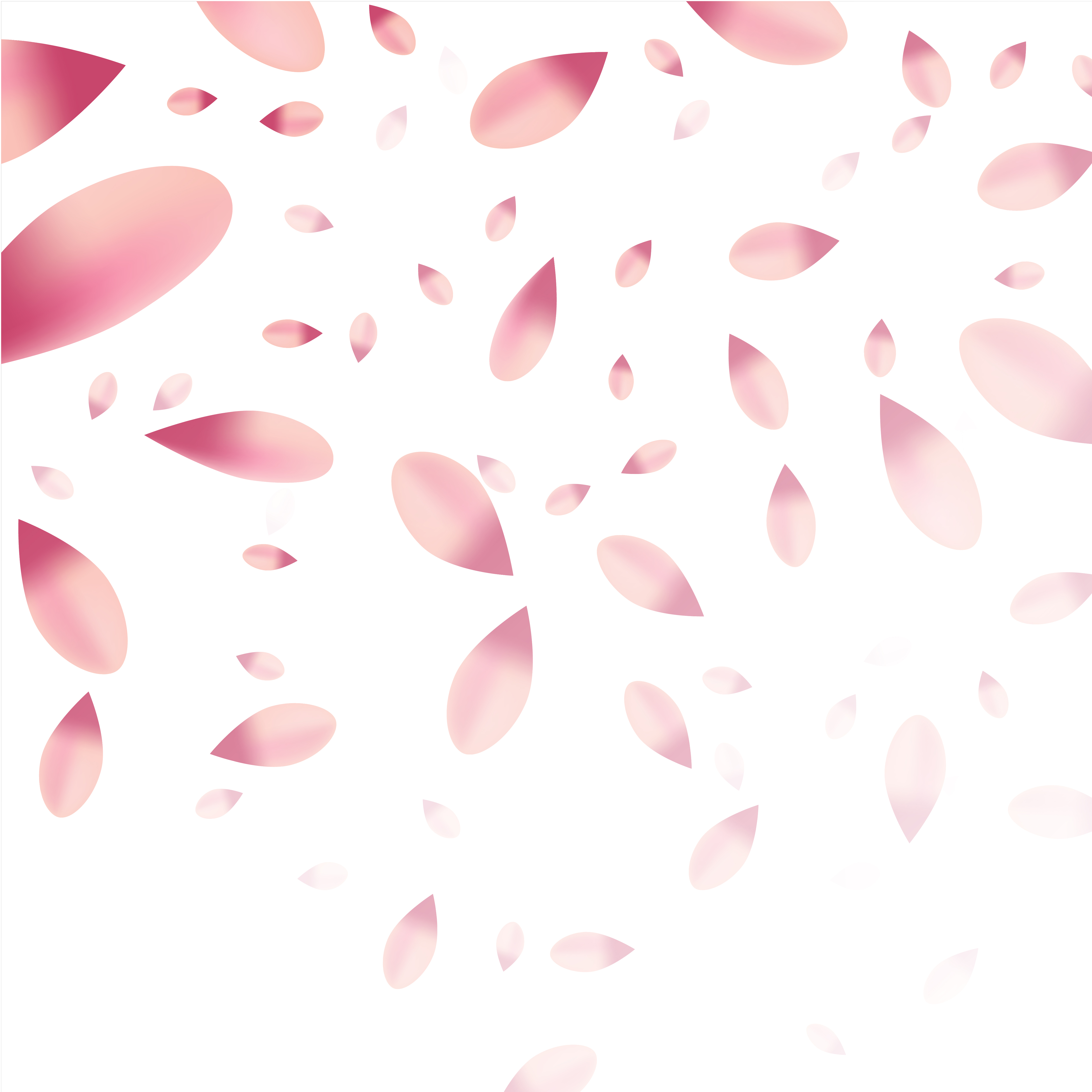5002x5002 Rose Petals Free Vector Art