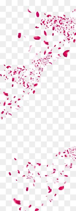 260x716 Scattered Flower Petals, Flower Vector, Pretty Flowers, Petals