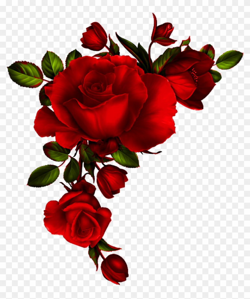 840x1003 Red Rose Petals Vector Material, Background