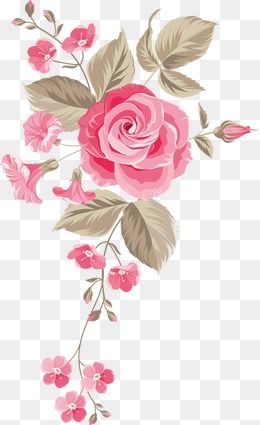 260x425 Hand Painted Flowers Background, Flowers, Painted, Pattern Png