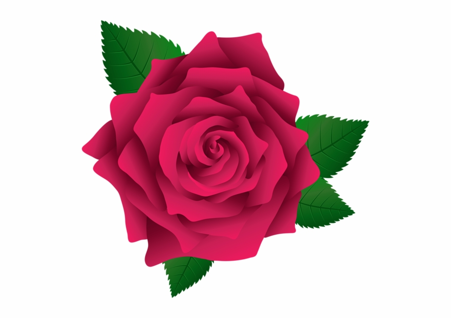 920x649 Pink Rose Png, Pink Roses, Vector Flowers, Flower Clipart