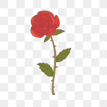 360x360 Rose Red Flower Png, Vector, And Clipart With Transparent