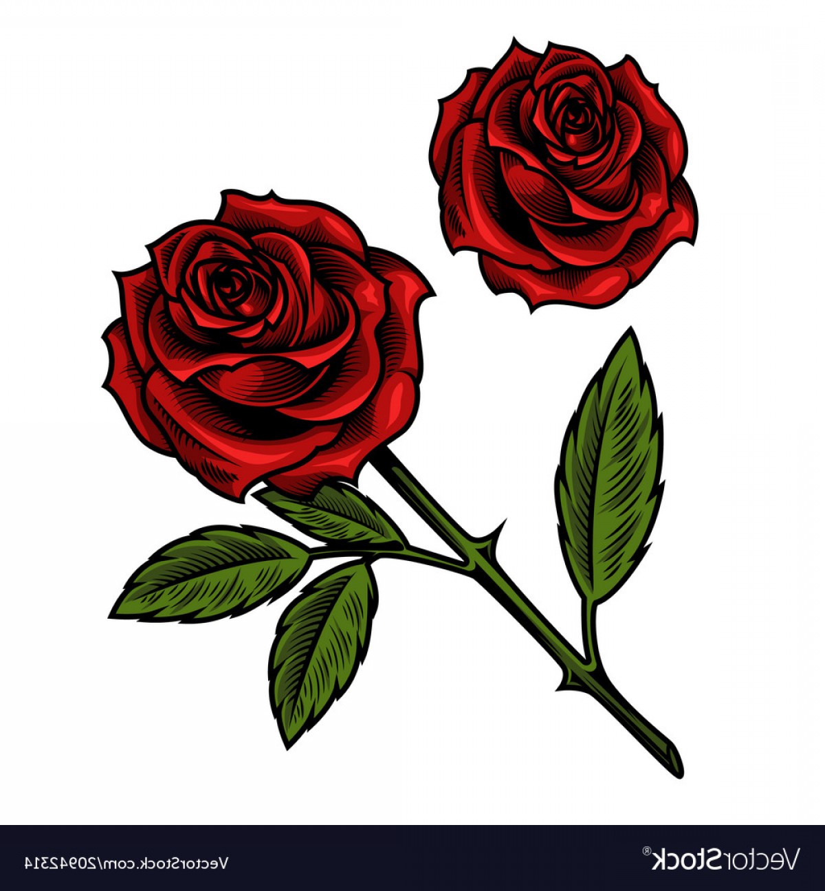 1200x1296 Single Beautiful Red Rose Vector Cqrecords