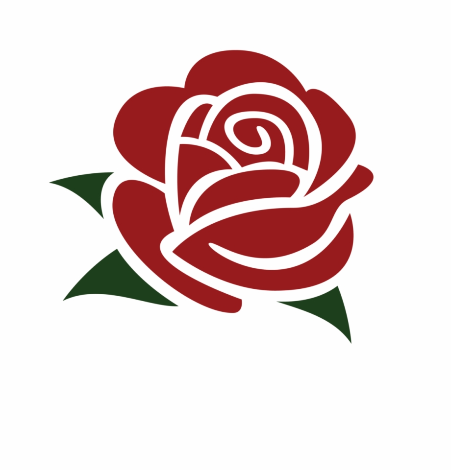 Rose Png Vector at Vectorified.com | Collection of Rose Png Vector free ...
