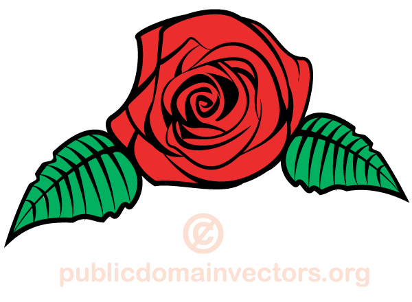 600x440 Vector Rose Flower Image Free Valentine's Day Vector Flower