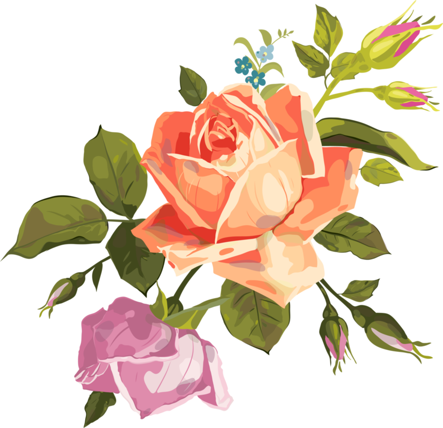 Rose Png Vector at Vectorified.com | Collection of Rose Png Vector free