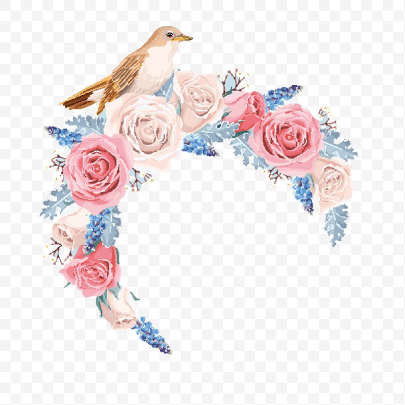 800x800 Flower Euclidean Vector Rose, Png, Border Flowers, Blue