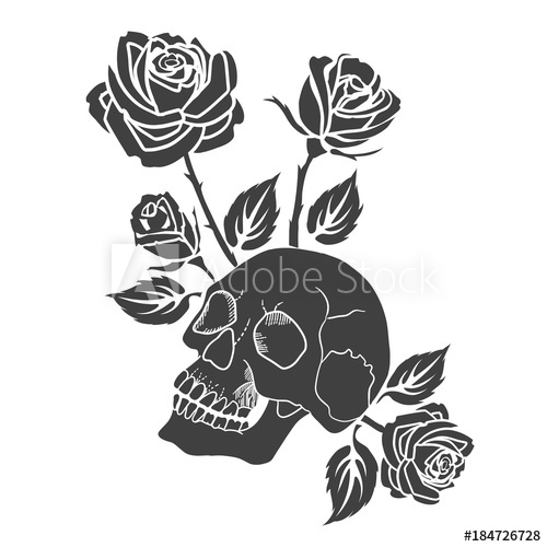 Human Skull And Roses Tattoo Vector Illustration 500x500 Human Skull And Roses Tattoo Vector Illustration