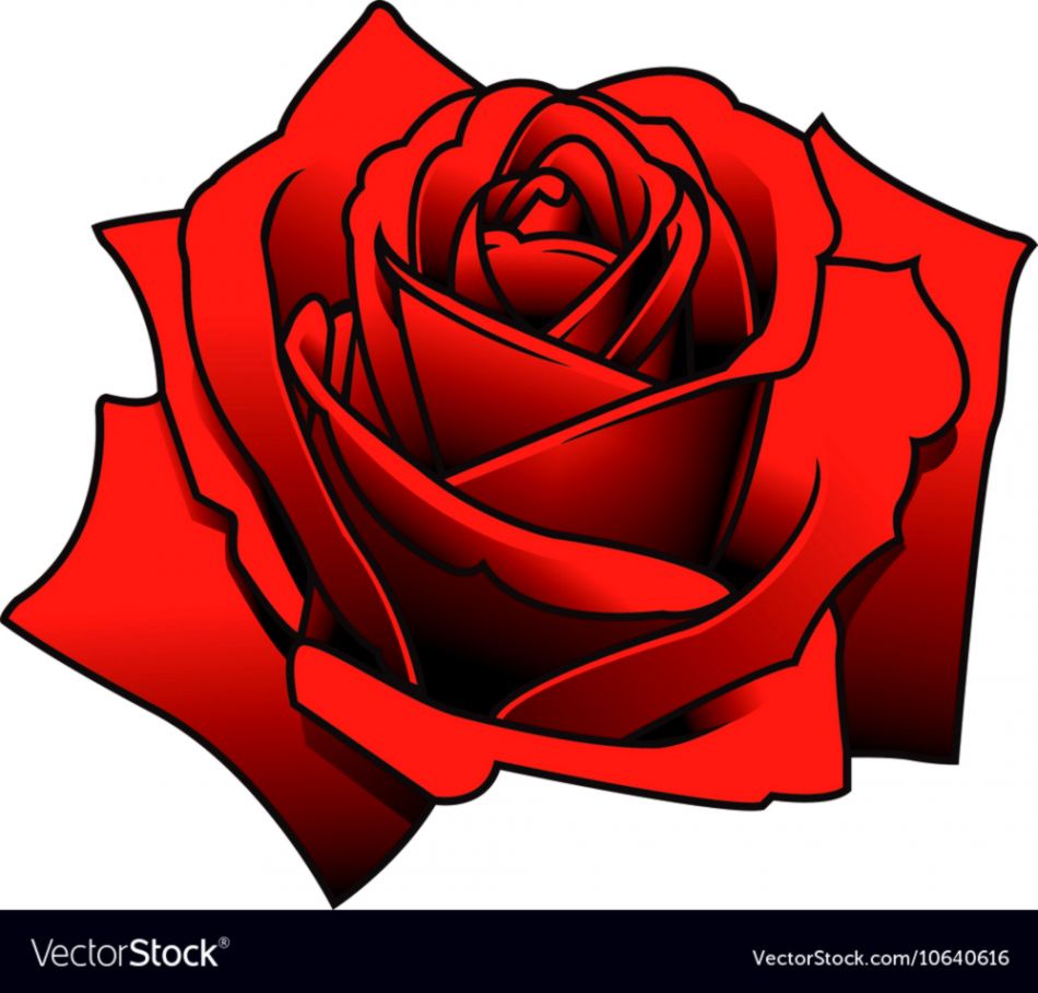 Rose Tattoo Wallpapers Background 950x908 Rose Tattoo Wallpapers Background