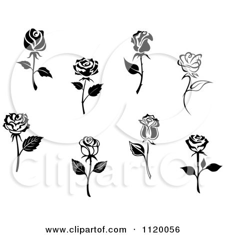 Clipart Of Black And White Rose Flowers 450x470 Clipart Of Black And White Rose Flowers