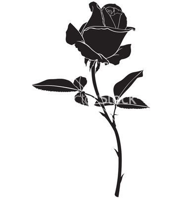 Roses Silhouette Vector Tattoo Ideas Black Rose Tattoos 380x400 Roses Silhouette Vector Tattoo Ideas Black Rose Tattoos