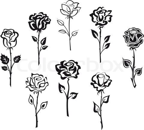 Vector Of 'set Of Rose Flowers' Art Culture Rose 480x432 Vector Of 'set Of Rose Flowers' Art Culture Rose