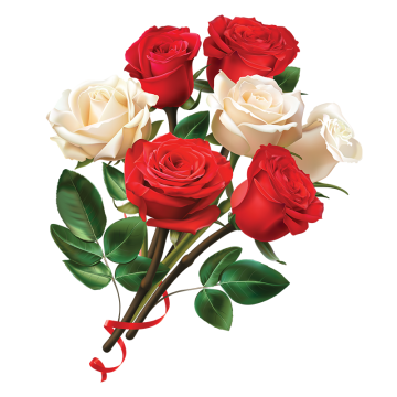 360x360 Rose Vector, Free Download Roses, Red Rose, Rose Border Vector Art