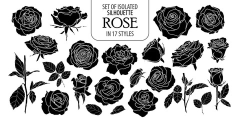 480x240 Rose Vector Stock Photos And Royalty Free Images, Vectors