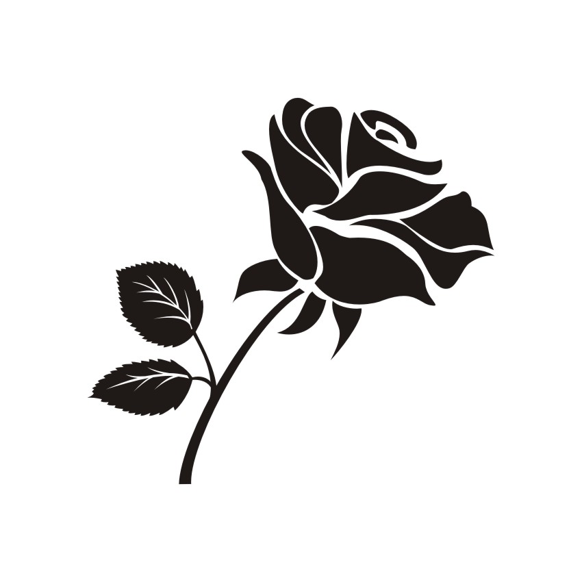 850x850 Rose Vector Vectors, Corel Files