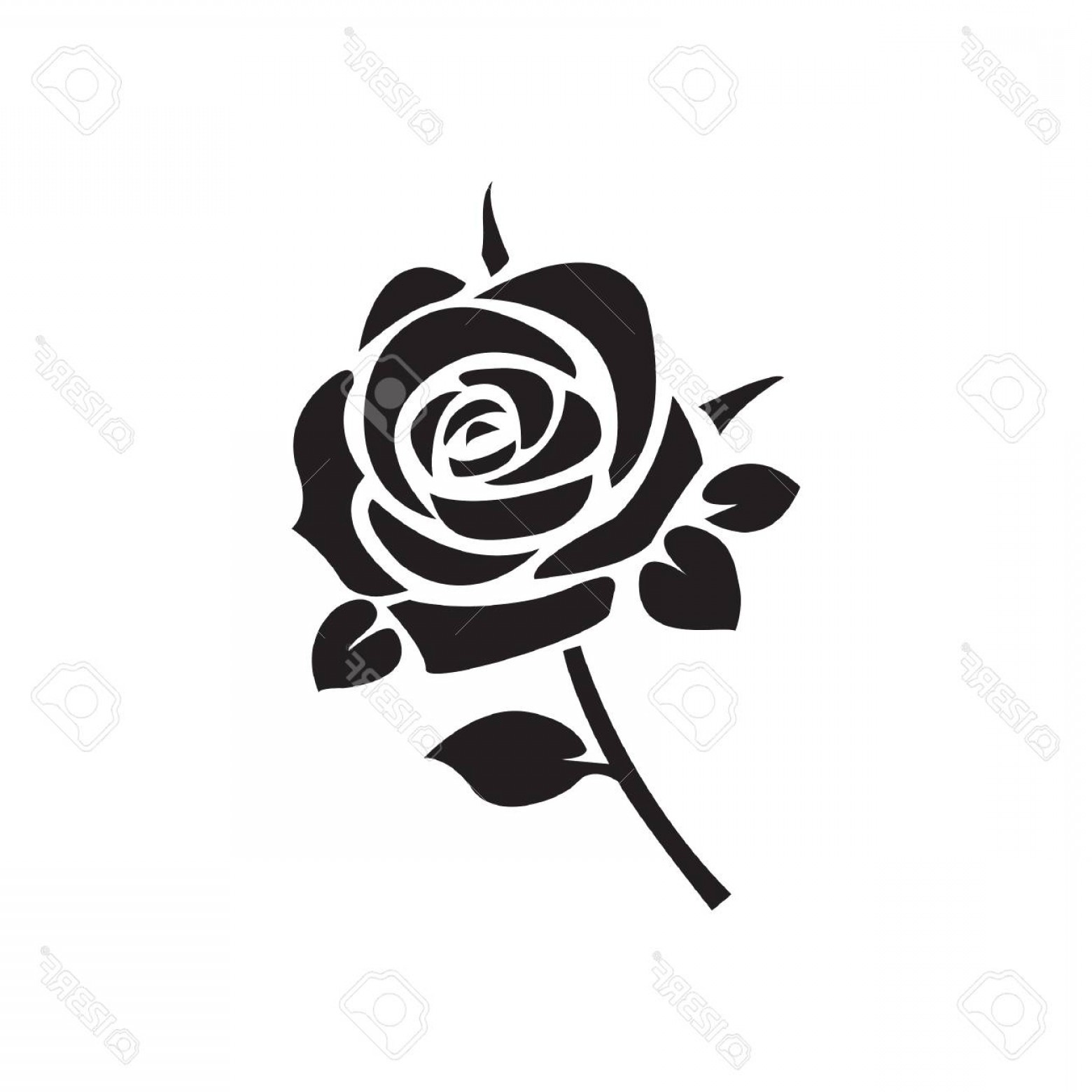 1560x1560 Simple Rose Vector Cqrecords