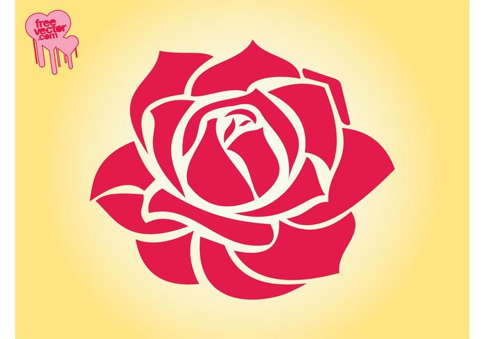 700x490 Vectors Of Roses Free Vector Graphics Everypixel