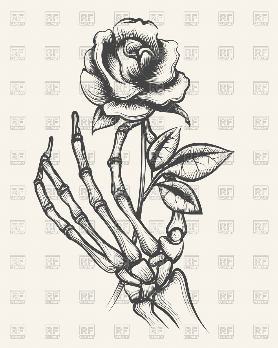 Hand Drawn Skeleton Bones Hand With Rose Vector Image 960x1200 Hand Drawn Skeleton Bones Hand With Rose Vector Image