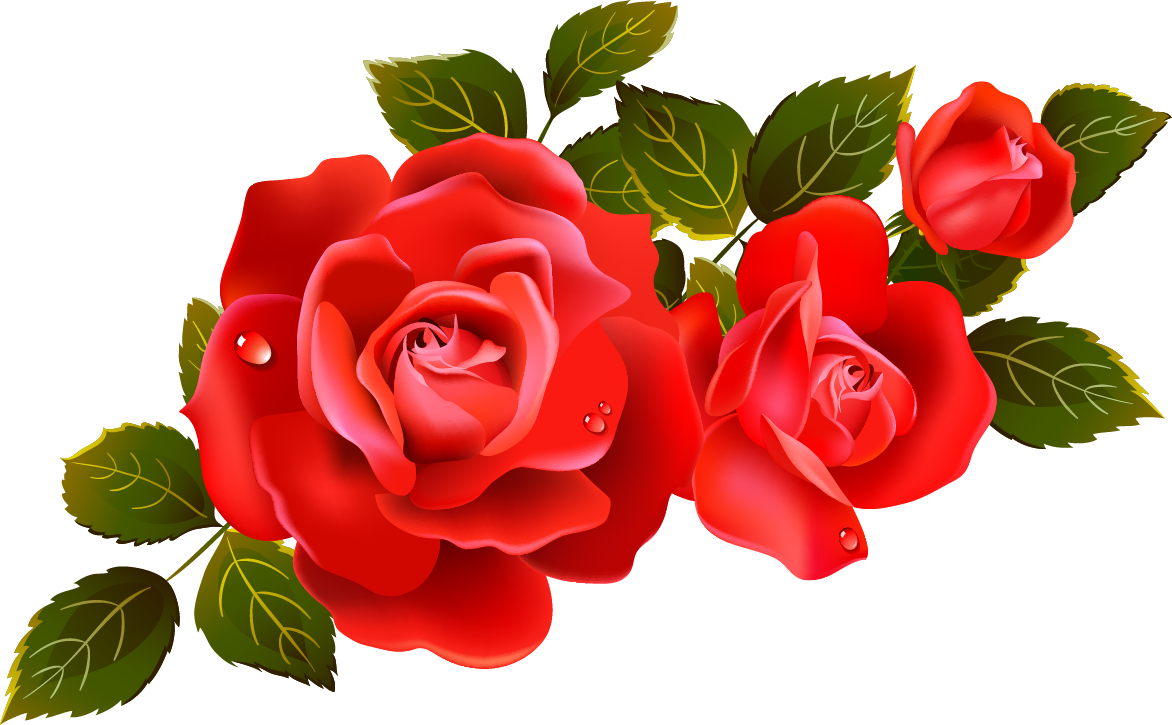 Wow 14+ Gambar Bunga Mawar Vektor Cdr - Gambar Bunga Indah
