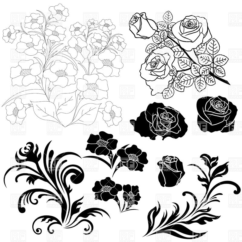 Silhouettes And Outlines Of Flowers, Roses Vector Image Of Plants 800x800 Silhouettes And Outlines Of Flowers, Roses Vector Image Of Plants