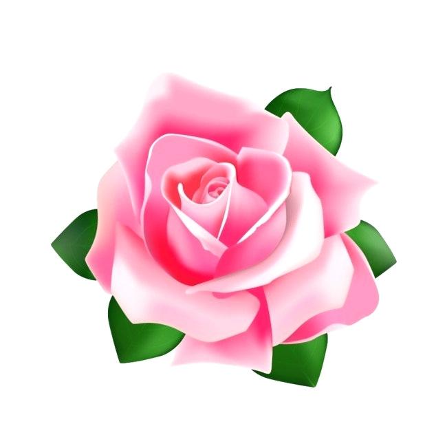 Vector Rose Flowers 650x632 Vector Rose Flowers