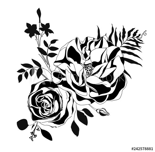 Black Rose Vector On White Detailed Hand Drawn Roses 500x491 Black Rose Vector On White Detailed Hand Drawn Roses